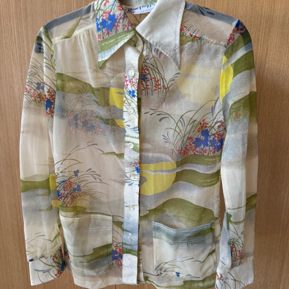 Really beautiful VINTAGE Three Flaggs sheer blouse